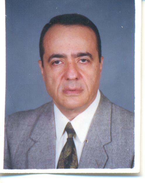 Ahmed Shawky Mohamed  Abd Elrahman